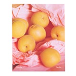 The Vulgarity of Being Three-Dimensional (signed 1st edition)